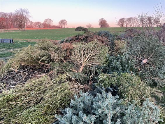 Paal klaar voor kerstboomverbranding - Beringen