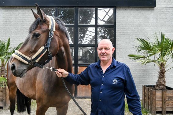 Paals paard paraat op OS in Tokyo - Beringen