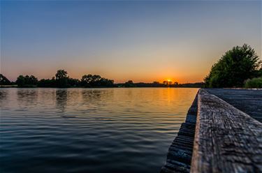 Paalse Plas bij zonsondergang - Beringen