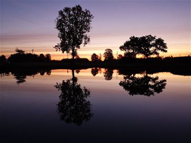 Paalse Plas - Beringen