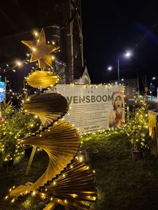 Paalse wensboom is er dit jaar weer - Beringen