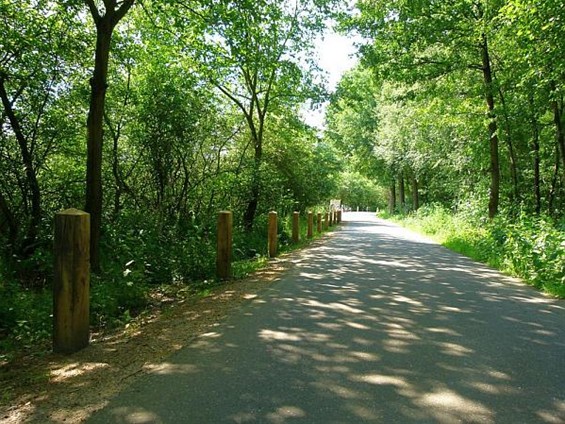 Paaltjes bij het Broekven - Meeuwen-Gruitrode