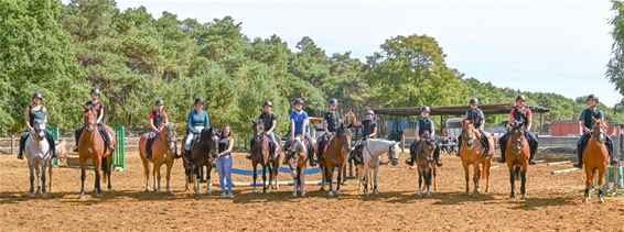 Paardenplezier op springkamp De Vlindervallei - Lommel