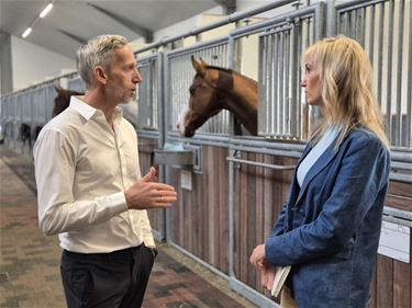 Paardensport is belangrijke economische speler - Beringen & Leopoldsburg