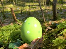 Paaswandeling in groepjes van drie - Beringen