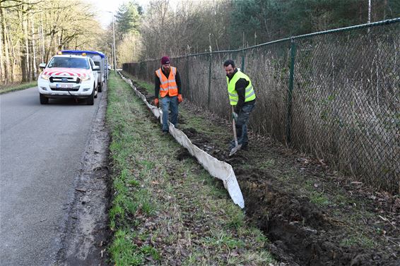 Paddenoverzet aan de Steenstortstraat - Beringen