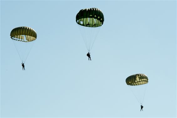 Parachutisten belanden in bomen in Hechtel - Hechtel-Eksel