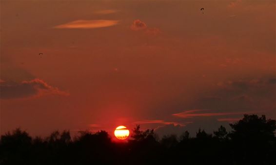 Paragliders  in het avondrood - Pelt