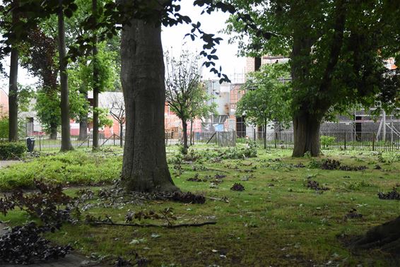 Park Beverlo en Koersels Kapelleke gesloten - Beringen