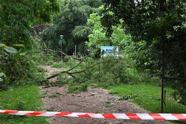 Park van de directeur ook nog dicht - Beringen