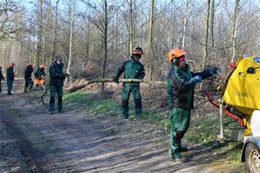 Parkrangers willen ook in 2019 aan de slag blijven - Beringen