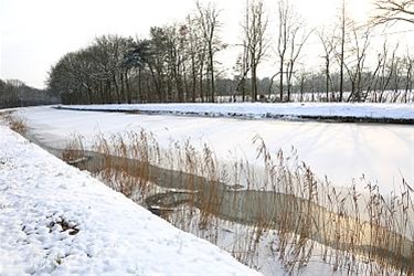 Pas op voor sneeuwijs!