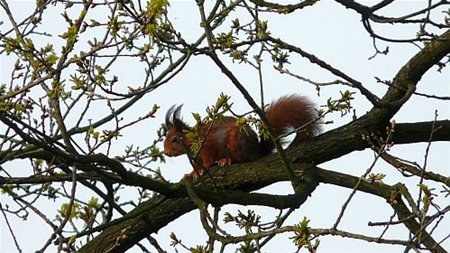 Pas terug van de kapper... - Neerpelt