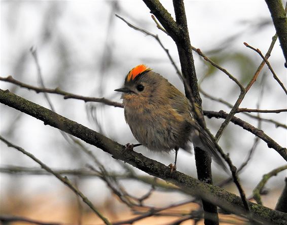 Pas uit bad - Neerpelt