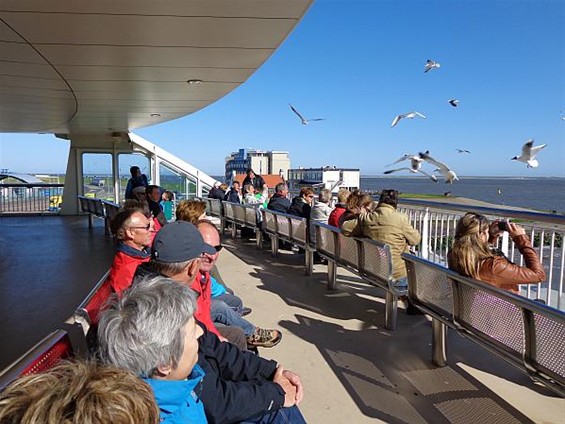 Pasar fietste heel Texel rond - Hamont-Achel