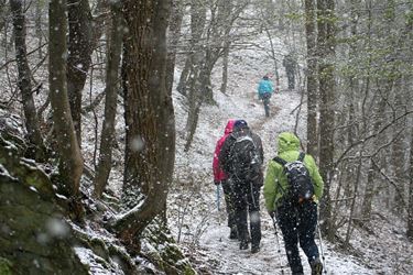 Pasar wandelde door het Ahrtal - Hamont-Achel