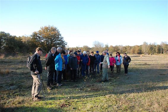 Pasar wandelde door het Kempenbroek - Hamont-Achel