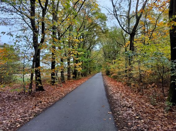 Peer, fiets- én wandelparadijs - Peer