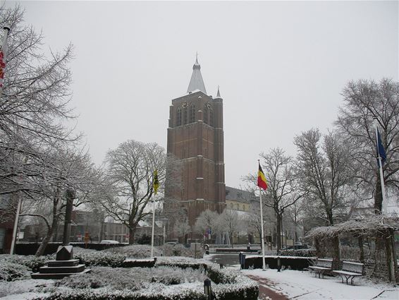 Peer onder de sneeuw - Peer