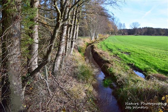 Peerderloop vormt natuurlijke grens - Peer
