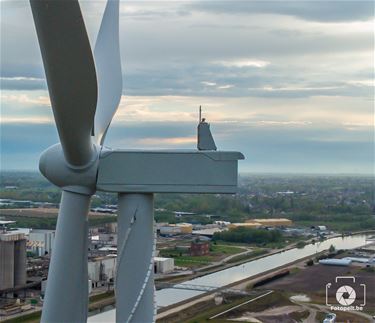 Pelt in beroep tegen vergunning windmolens - Pelt