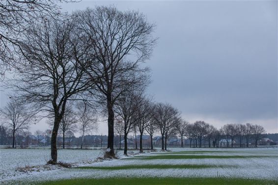 Pelt in de sneeuw - Pelt