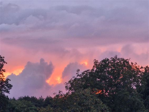 Pelt in vuur en vlam, maar gelukkig alleen op foto - Pelt