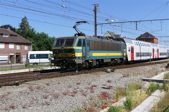 Pelt interpelleert NMBS over treinen