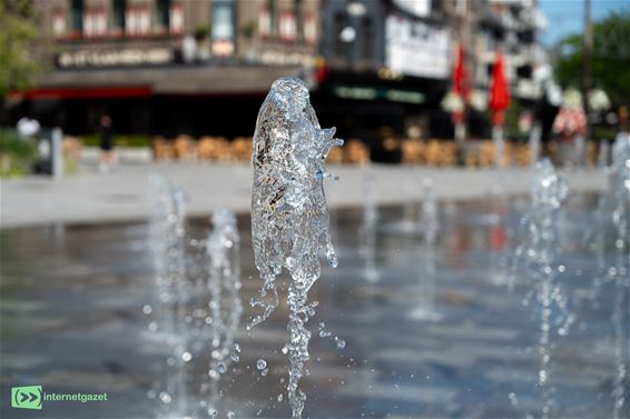 Pelt neemt maatregelen tegen extreme hitte - Pelt