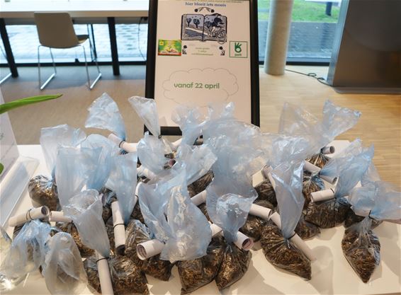 Pelt schenkt gratis bloemenzaad (voor de bijen) - Pelt