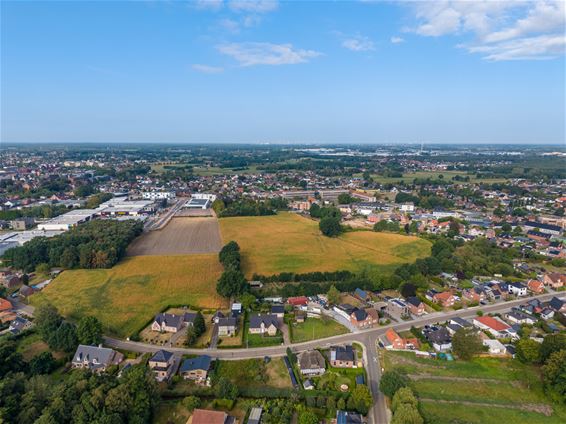 Pelt - Pelt werkt aan groene woonbuurt in Haspershoven