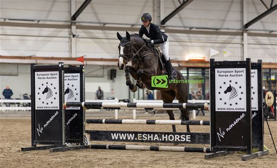 Peltse Noa schittert met jonge merrie - Pelt