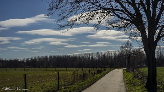 Penseelwolken in de lucht