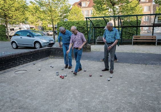 Pentanquen op de Nieuwe Markt - Overpelt