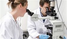 Bree - Universiteiten: 1/3 personeel - 30