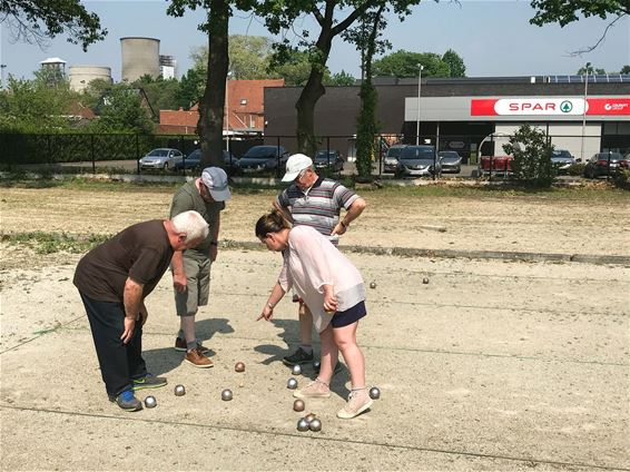 Petanque met S-Plus - Beringen