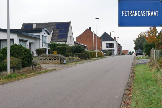 Petrarcastraat - Beringen