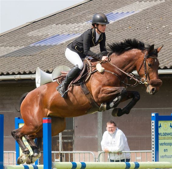 Philippaerts verkoopt toppaard aan VS - Meeuwen-Gruitrode