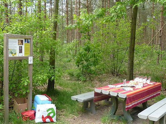 Picknicken bij het bos - Hamont-Achel