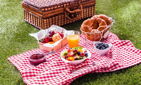 Picknicken in Beringen - Beringen