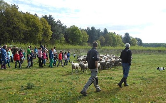 Picknicken met een herder - Meeuwen-Gruitrode