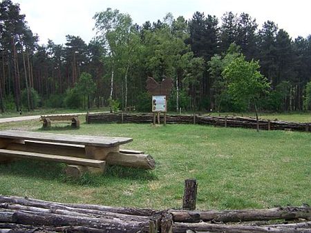 Picknicken voor 'Kom op tegen Kanker'