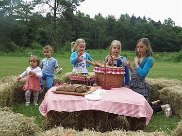 Picknickvierders bidden voor zon - Houthalen-Helchteren