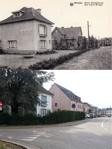 Pieter Breugelstraat Beringen - Beringen