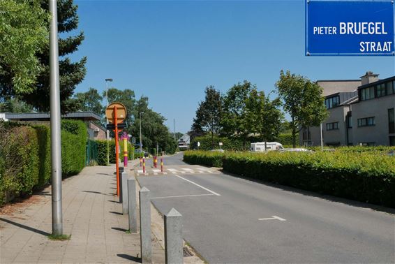 Pieter Bruegelstraat - Beringen