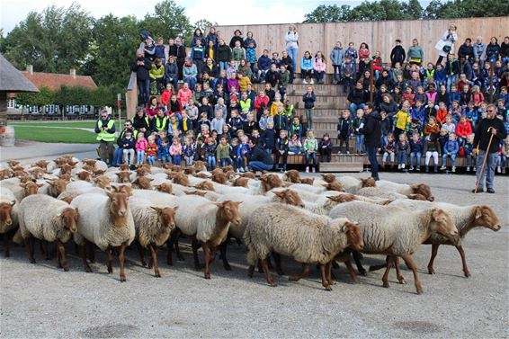 Pieter Brueghelschool maakt kennis met Brueghel - Peer