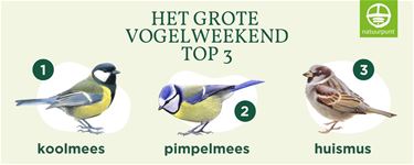 Pimpelmees in top 3, maar minder vogels per tuin
