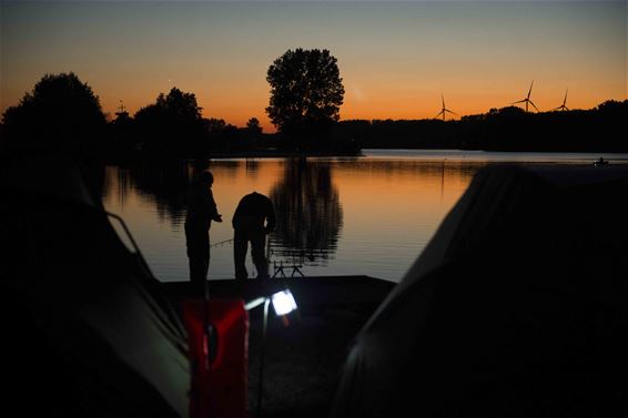 Plaatjes in de plaats van vissen - Beringen