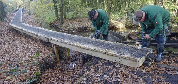 Plankenpad bij Abeek wordt hersteld - Bocholt