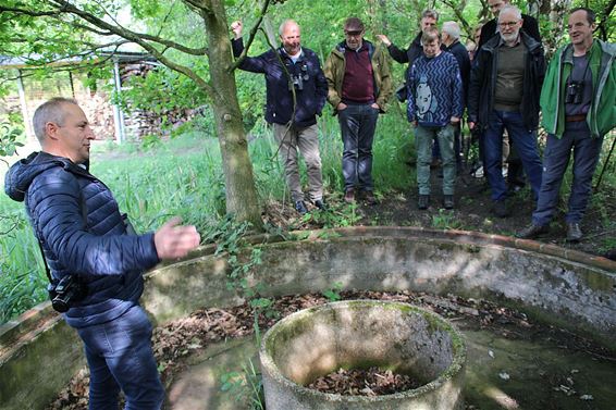 Plannen met ruimte achter De Wulp - Pelt